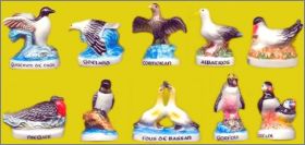 Les oiseaux  marins - Fves brillantes - Arguydal - 2010