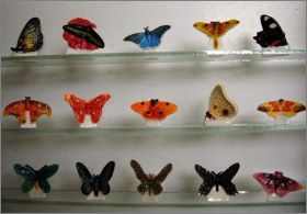 Papillons Gant - Editions Atlas- Fves Brillantes- 2006