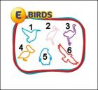 E = Birds