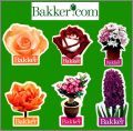 6 Magnets - Bakker.com - Jardinerie en ligne - 2005