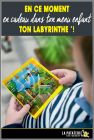 Ton Labyrinthe - La Pataterie - 2018
