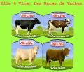 Elle & Vire - Les Races de Vaches