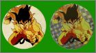 Exemple d'un cap en 2 versions