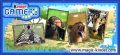 Puzzles Animaux Sauvages (Kinder Surprise) DE153  DE156