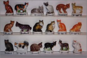 Chats de race - ditions Atlas - Fves brilantes - 2006