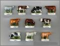 Les Races de Vaches - Fèves brillantes - Nordia - 2012
