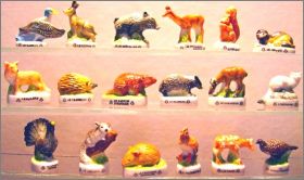 Animaux de nos for�ts - Atlas - F�ves brillantes - 2006