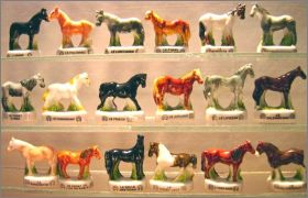 Les chevaux - Atlas -F�ves brillantes - 2006