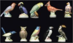 Oiseaux Succa - F�ves brillantes - 1999