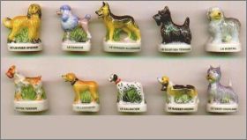 Chiens de race 1 - F�ves brillantes - Nordia - 1999