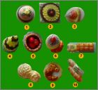 Pr�sentation de la collection