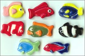 Rois des oc�ans - F�ves brillantes - Arguyda - 2005