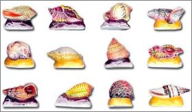 Les Joyaux de la mer Coquillages - Fves brillantes - 1999