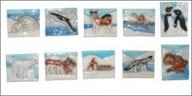 Les Rois du P�le - Prime - F�ves Brilllantes Plates -1993