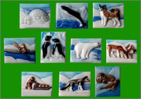 Les Rois du P�le - 10 F�ves Brilllantes Plates Prime -1993