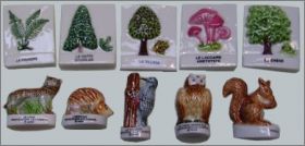 WWF Prot�geons la For�t - F�ves Brillantes -  2003