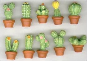 Les Cactus - F�ves Mates - 2010