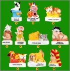 Pr�sentation de la collection