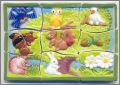 Le puzzle de la For�t - Nordia - F�ves Brillantes - 2012