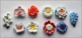 La Symbolique des fleurs - F�ves Brillantes - 2012