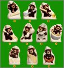 Pr�sentation de la collection