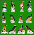 Oiseaux tropicaux - 12 F�ves Brillantes - Alcara - 2002