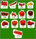 Variétés de tomates (Les) 12 Magnets - Savéol - 2006 à 2008