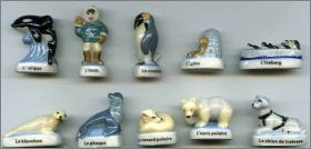 D�couverte du Monde Polaire-Prime- F�ves Brillantes- 2008 :