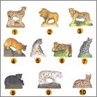 Pr�sentation de la collection