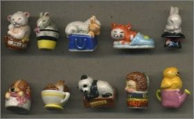 Une Chanson Douce - Alcara - F�ves Brillantes - 2013