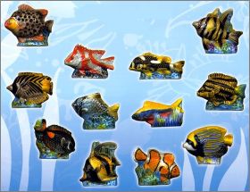 Poissons Superbes - Prime - F�ves Brillantes Nacr�es - 2008