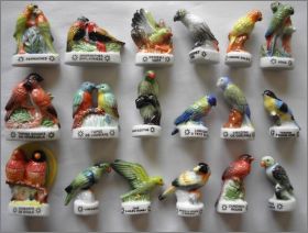 Oiseaux des Iles - Editions Atlas - F�ves Brillantes - 2006