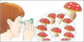 kaleidoscope vert - K01-43 - Kinder Surprise - 2001