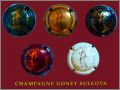 Gonet Sulcova  - Capsules de champagne/Muselets  - 2010