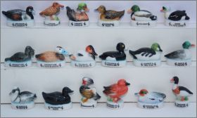 Les Canards - Editions Atlas - F�ves Brillantes - 2006