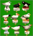 Pr�sentation des f�ves 10 � 18