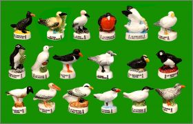 Oiseaux Marins - 18 F�ves Brillantes - Editions Atlas - 2006
