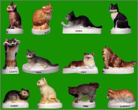 Chats de race - 12 F�ves Mates - Alcara - 2004