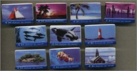 Thalassa Cartes Postales - F�ves Brillantes - 2012