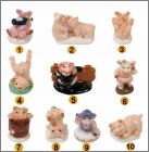 Pr�sentation de la collection