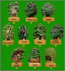 Pr�sentation de la collection