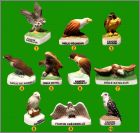 Pr�sentation de la collection