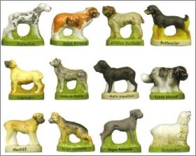 Les Grands Chiens de Race - Prime - F�ves Brillantes & Mates