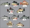 Poissons de nos rivi�res - Prime - F�ves Brillantes  - 2001
