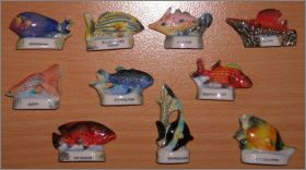 Poissons du corail - Alcara - F�ves Brillantes - 2001