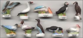 Oiseaux des mers - Alcara - F�ves Mates - 2003