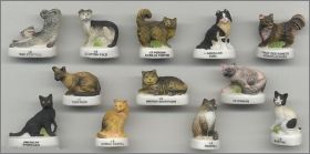 Les chats du Monde - F�ves Mates - 2012