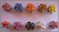 Bouquets de Roses - Alcara - F�ves Brillantes - 2012