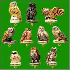 Pr�sentation de la collection