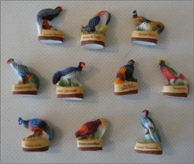 Les Faisans - HEP - F�ves Mates - 2008